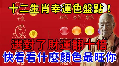 屬豬幸運物|十二生肖「幸運數字、幸運顏色、大吉方位」！跟著做。